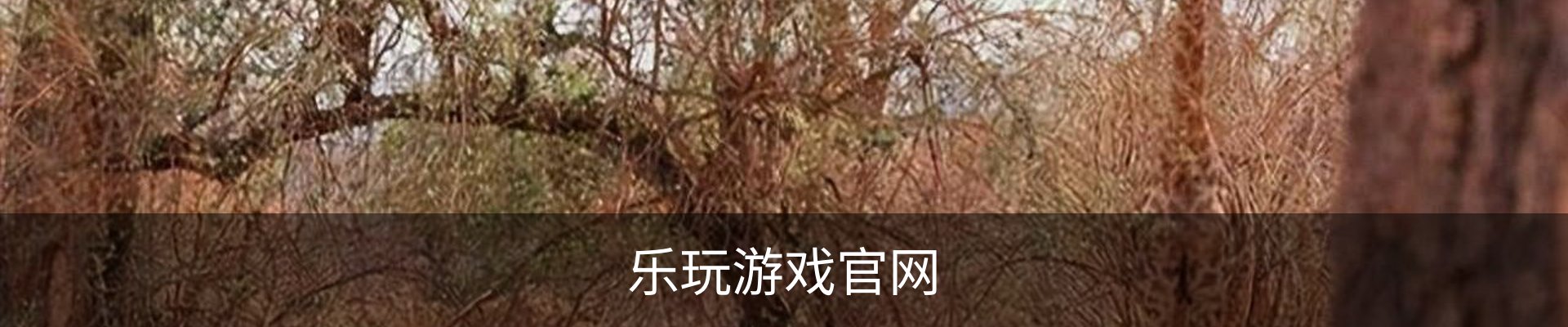 乐玩游戏官网